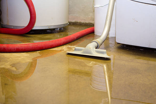 Best Water damage restoration specialists  in Tok, AK
