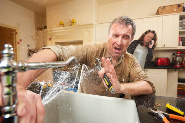 Best Water damage repair service  in Tok, AK